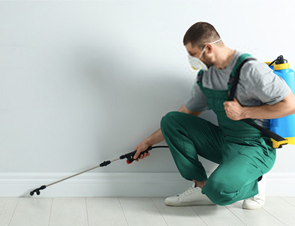 Pest Control Selby Services